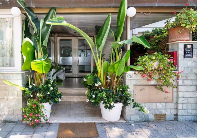Giardino con piante del ristorante La Terrazza a Petrella Salto